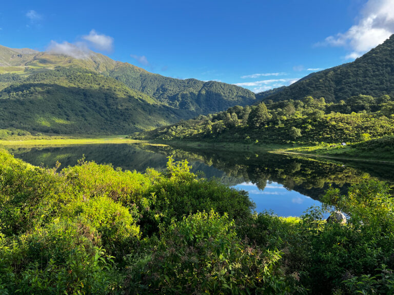 PROTECCIÓN DE BOSQUES NATIVOS Y BIODIVERSIDAD